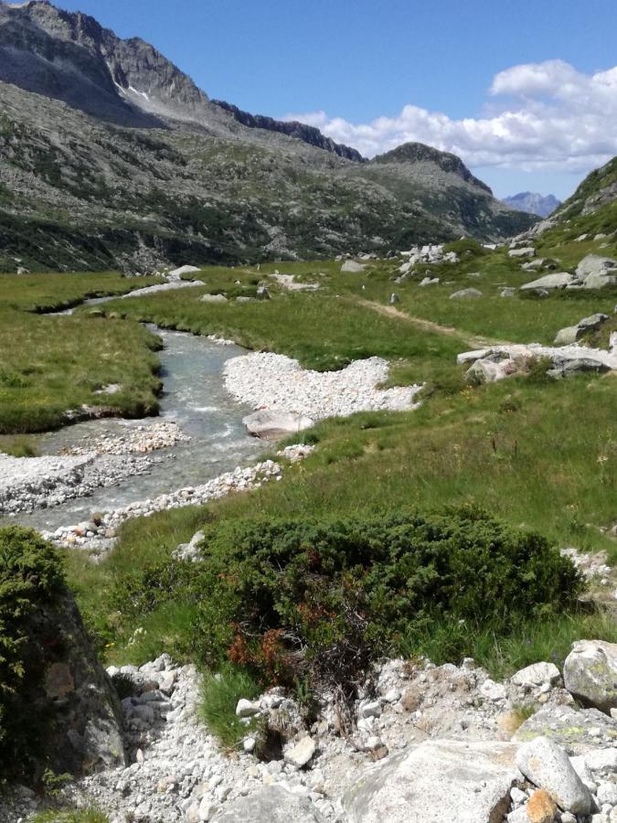 Hotel Rifugio Stella Alpina Saviore dell'Adamello Exterior foto